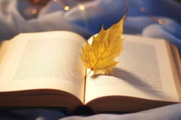 沿河土家族自治县中等职业学校和菏泽艺术学校 综合对比哪个好