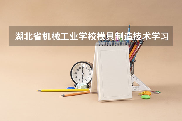 湖北省机械工业学校模具制造技术学习课程以及专业能力有哪些