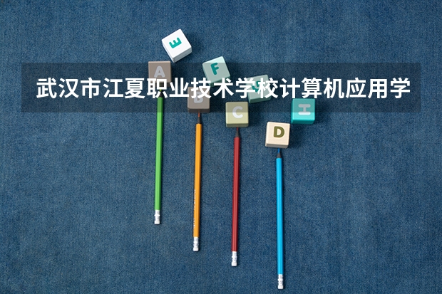 武汉市江夏职业技术学校计算机应用学习课程以及专业能力有哪些