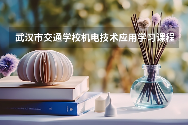 武汉市交通学校机电技术应用学习课程以及专业能力有哪些