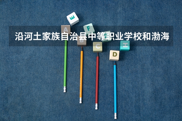 沿河土家族自治县中等职业学校和渤海经济发展中等专业学校 综合对比哪个好
