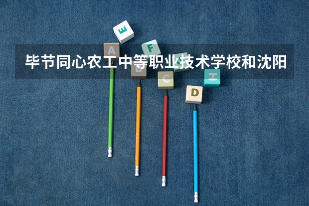 毕节同心农工中等职业技术学校和沈阳市民族职业学校 综合对比哪个好