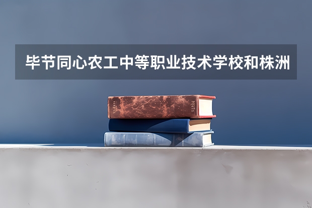 毕节同心农工中等职业技术学校和株洲市渌口区职业中等专业学校 综合对比哪个好