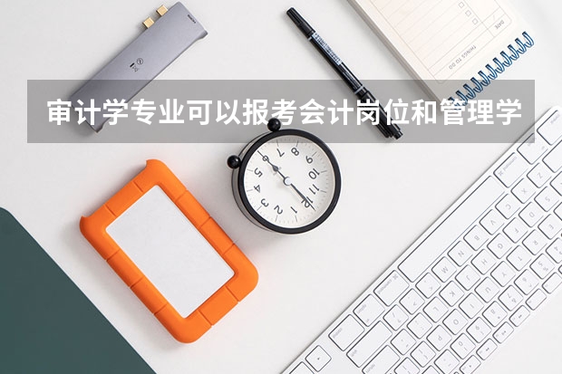审计学专业可以报考会计岗位和管理学岗位吗