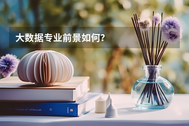 大数据专业前景如何？