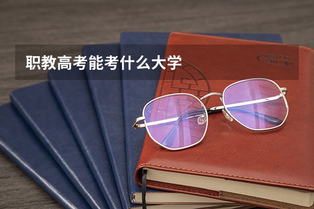 职教高考能考什么大学