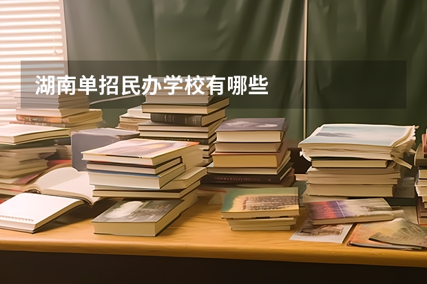 湖南单招民办学校有哪些