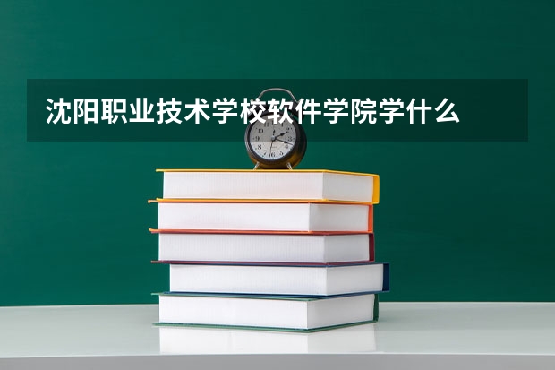 沈阳职业技术学校软件学院学什么