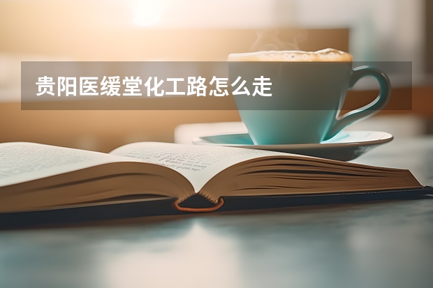 贵阳医缓堂化工路怎么走