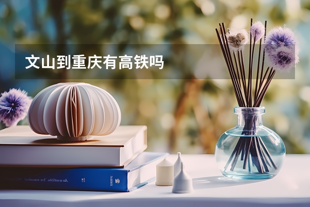 文山到重庆有高铁吗
