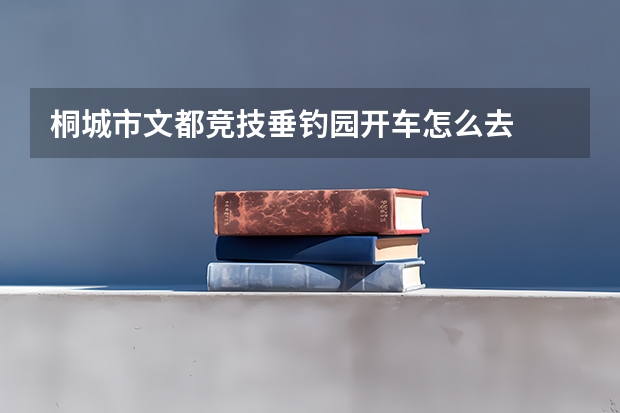 桐城市文都竞技垂钓园开车怎么去