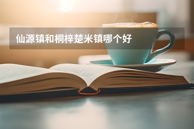 仙源镇和桐梓楚米镇哪个好