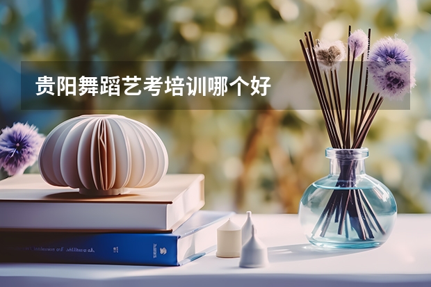 贵阳舞蹈艺考培训哪个好