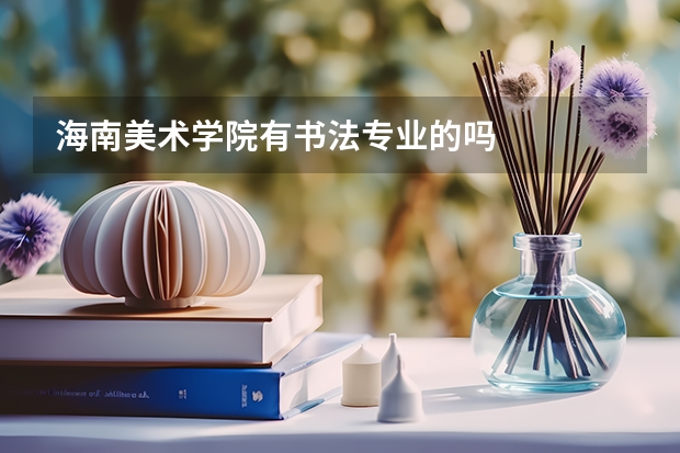 海南美术学院有书法专业的吗