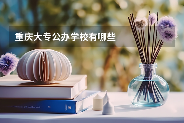 重庆大专公办学校有哪些