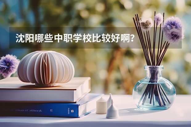 沈阳哪些中职学校比较好啊？