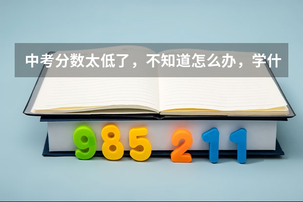 中考分数太低了,不知道怎么办,学什么好?