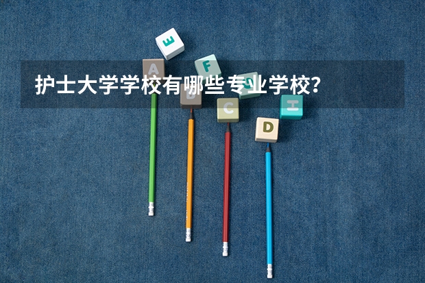 护士大学学校有哪些专业学校?