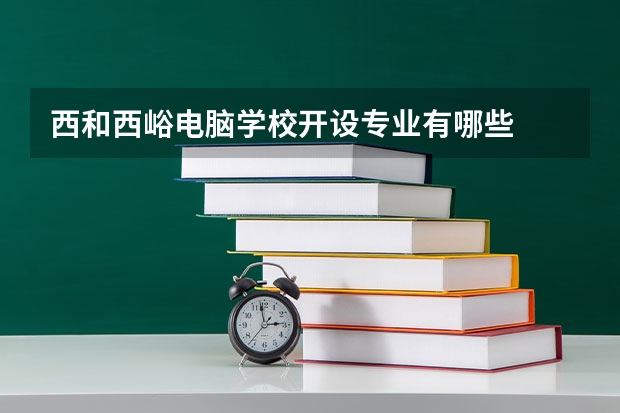 西和西峪电脑学校开设专业有哪些