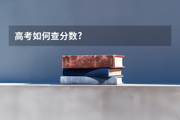 高考如何查分数?