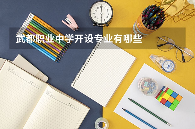 武都职业中学开设专业有哪些