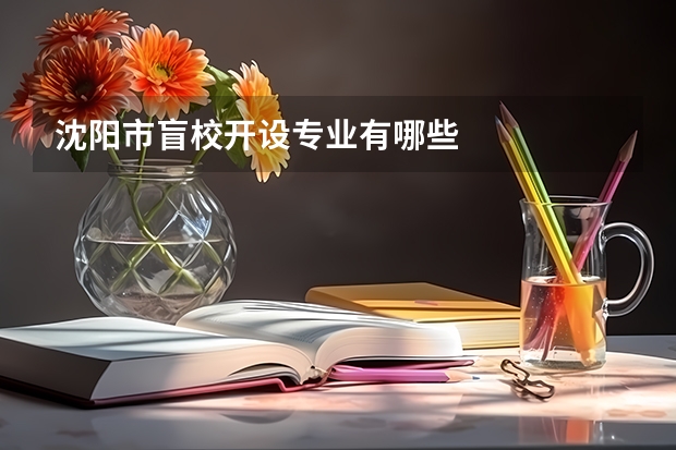 沈阳市盲校开设专业有哪些
