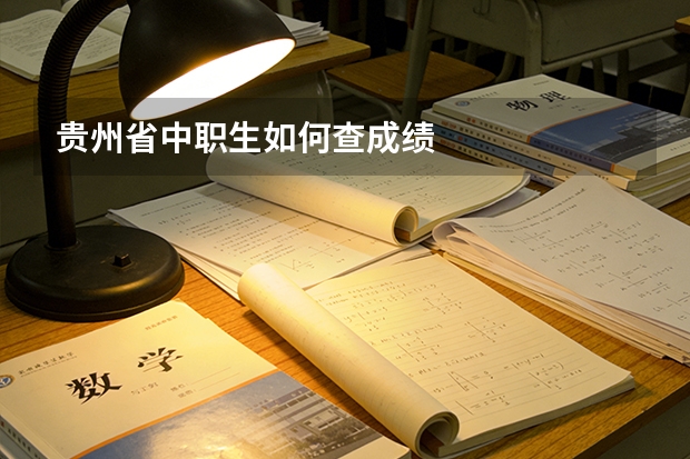 贵州省中职生如何查成绩