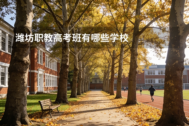 潍坊职教高考班有哪些学校