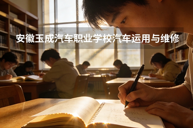 安徽玉成汽车职业学校汽车运用与维修可以考哪些证书？