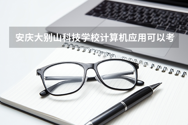 安庆大别山科技学校计算机应用可以考哪些证书？