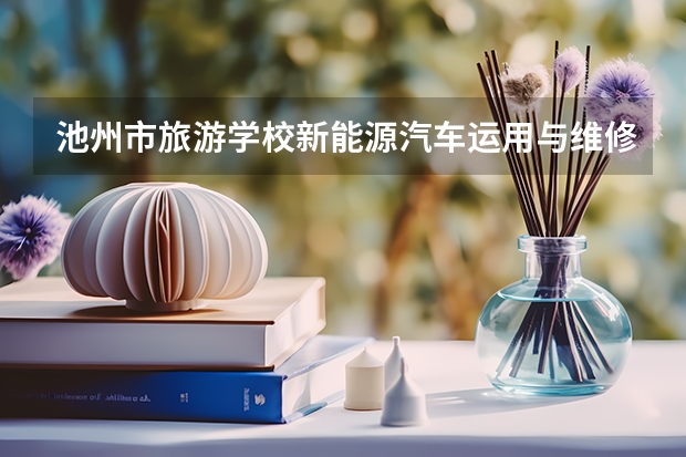 池州市旅游学校新能源汽车运用与维修可以考哪些证书？