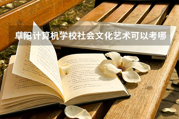 阜阳计算机学校社会文化艺术可以考哪些证书？