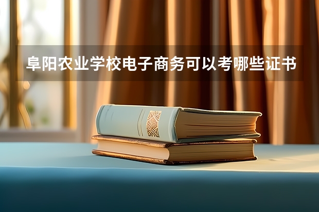 阜阳农业学校电子商务可以考哪些证书？