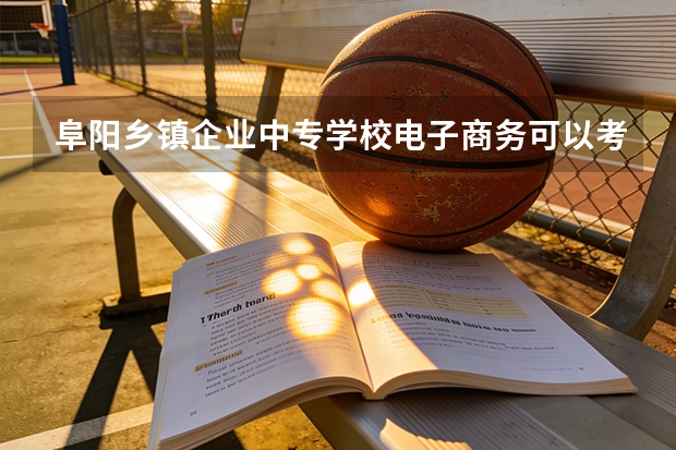 阜阳乡镇企业中专学校电子商务可以考哪些证书？