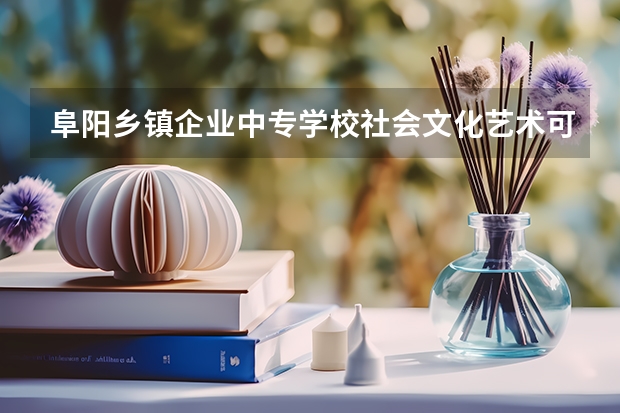 阜阳乡镇企业中专学校社会文化艺术可以考哪些证书？
