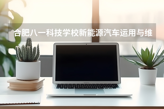 合肥八一科技学校新能源汽车运用与维修可以考哪些证书？