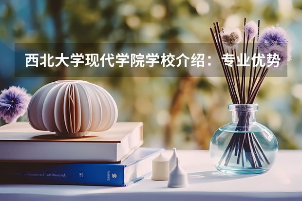 西北大学现代学院学校介绍：专业优势、校园环境与录取分数一览