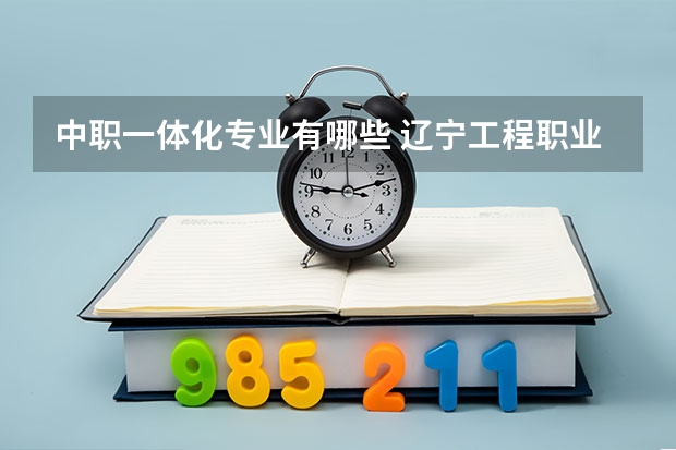 中职一体化专业有哪些 辽宁工程职业学院中德机电一体化专业所学的科目都有什么