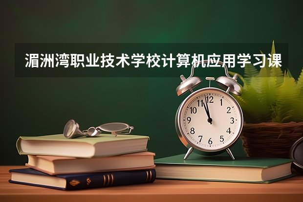 湄洲湾职业技术学校计算机应用学习课程以及专业能力有哪些