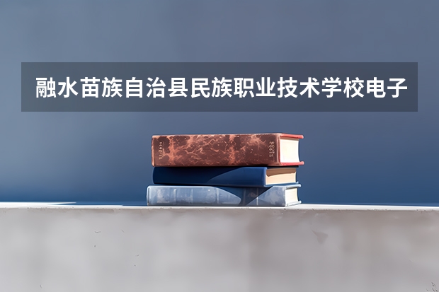 融水苗族自治县民族职业技术学校电子商务学习课程以及专业能力有哪些